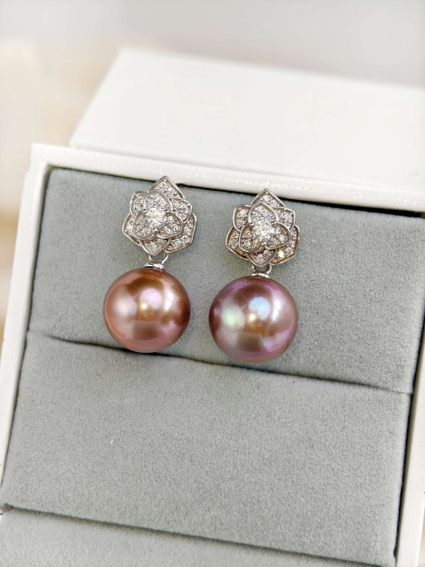 Pearl Earrings - E241223c